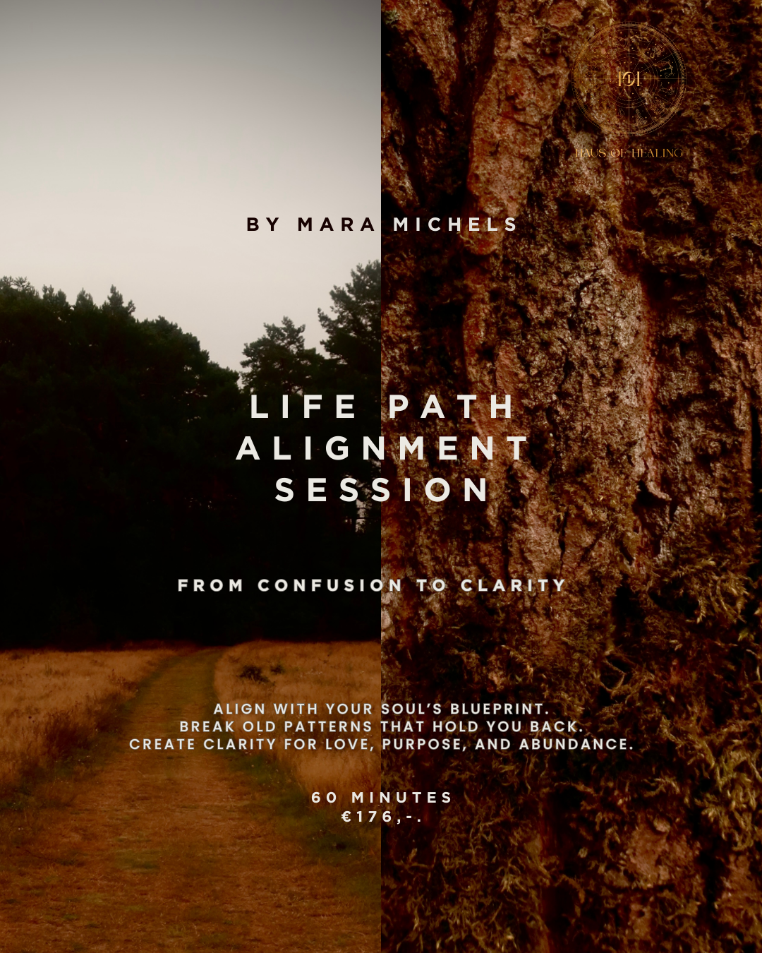 Life Path Alignment Session