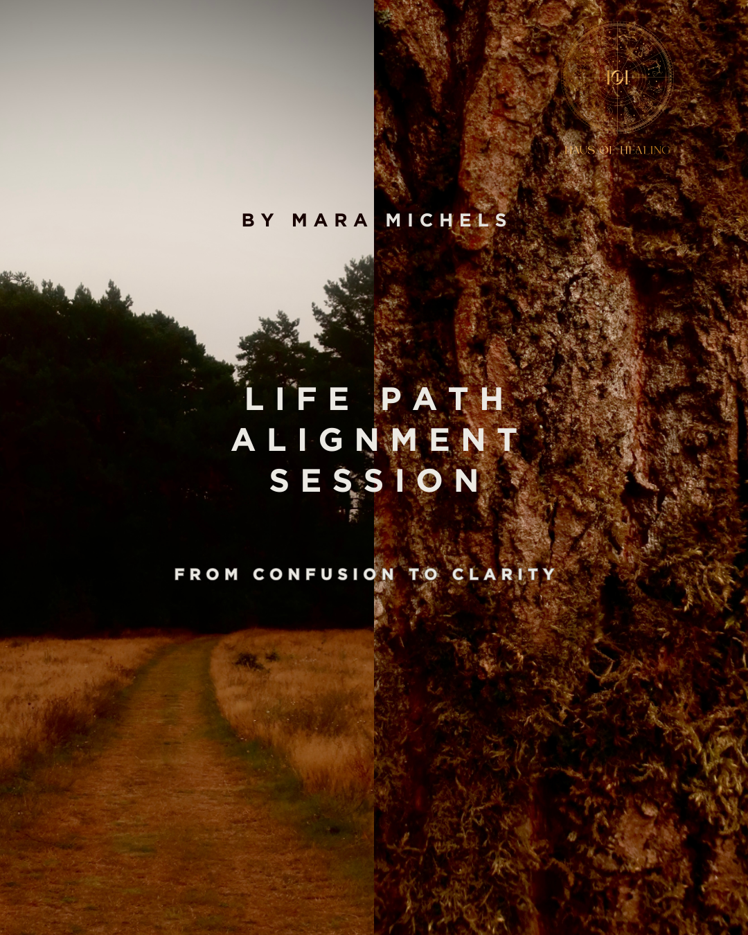 Life Path Alignment Session