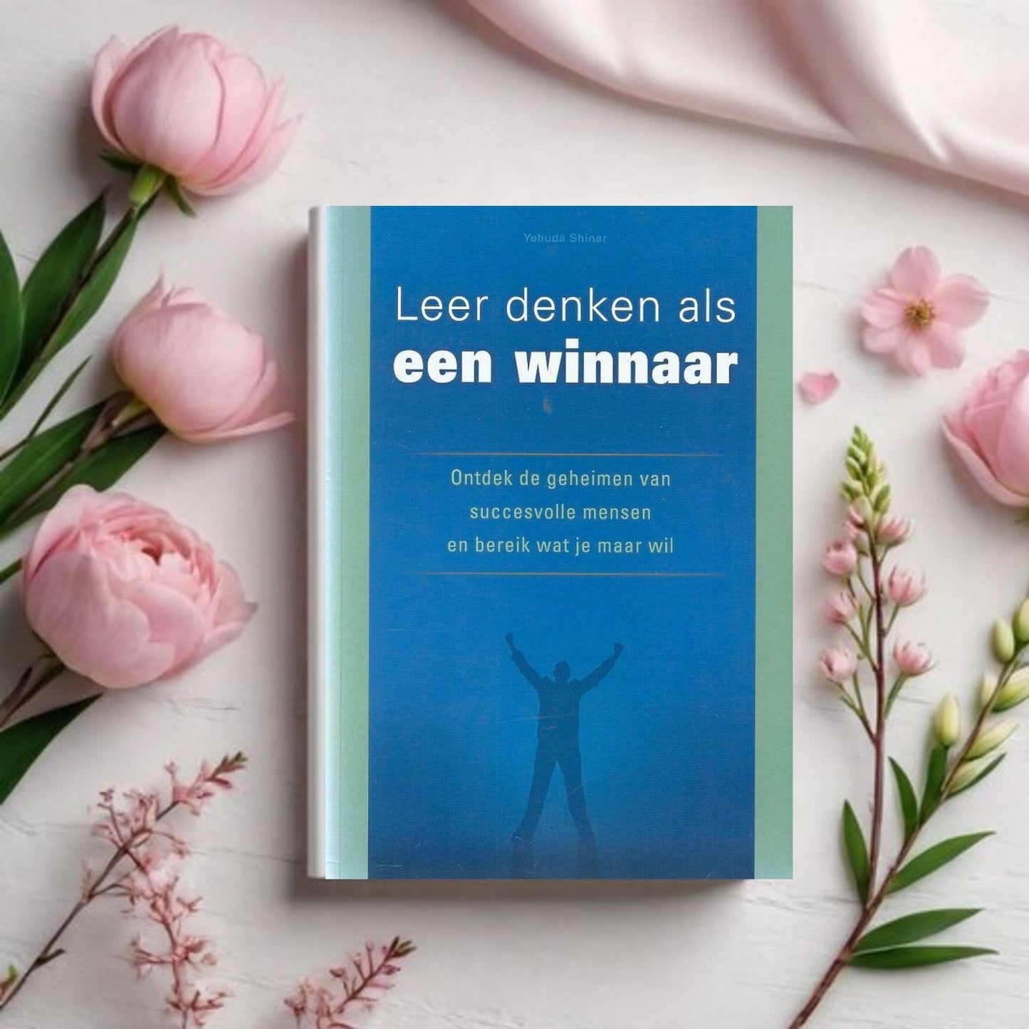 Leer Denken als een Winnaar - Yehuda Shinar