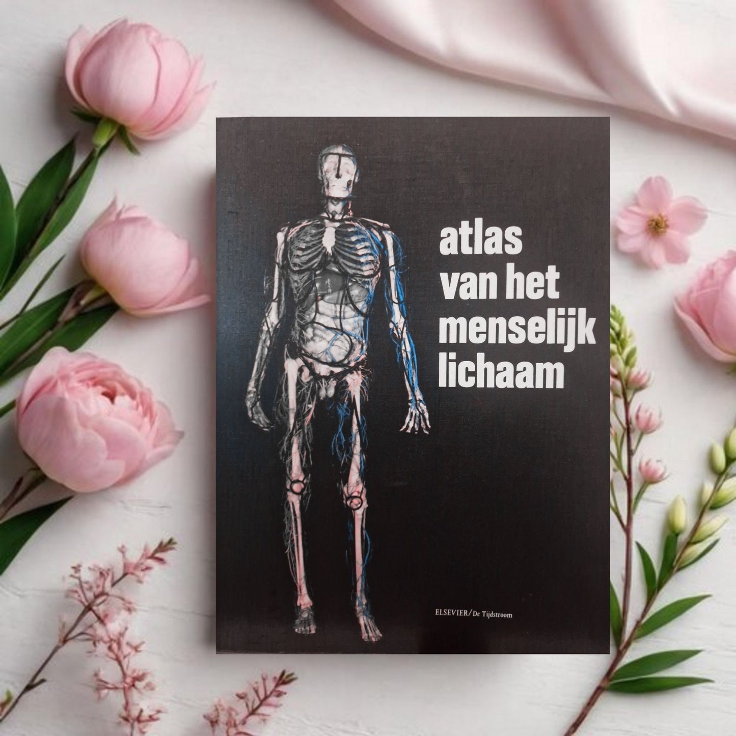 Atlas van het menselijk lichaam - samengesteld door Dr. J.P. Schadé