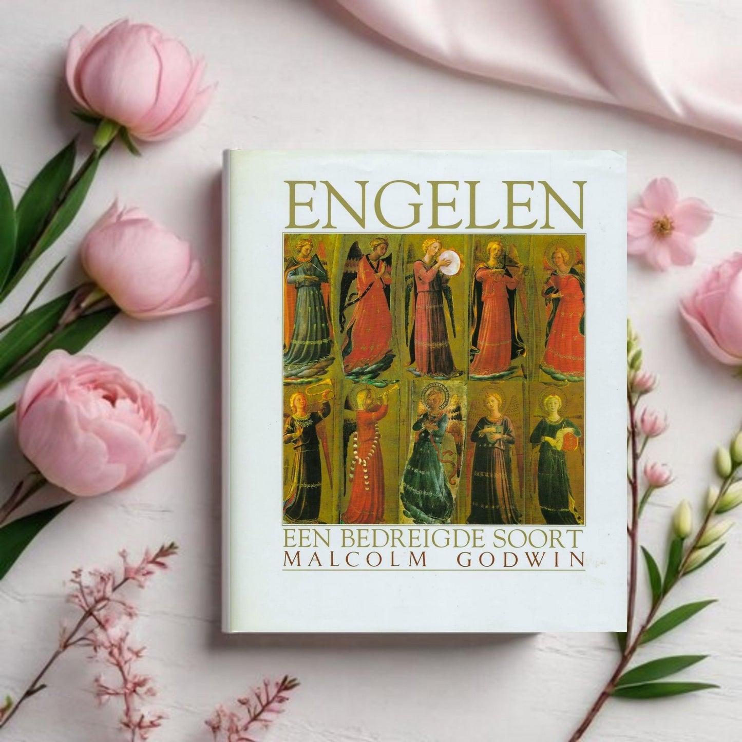 Engelen - een bedreigde soort - Malcolm Godwin
