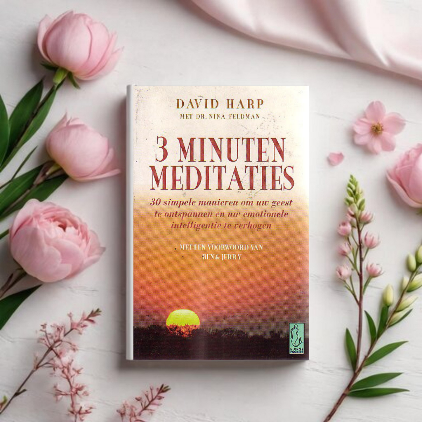 3 Minuten Meditaties - David Harp