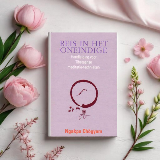 Reis in het Oneindige - Ngakpa Chögyam