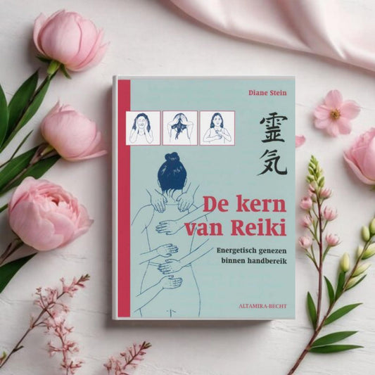 De Kern van Reiki - Diane Stein