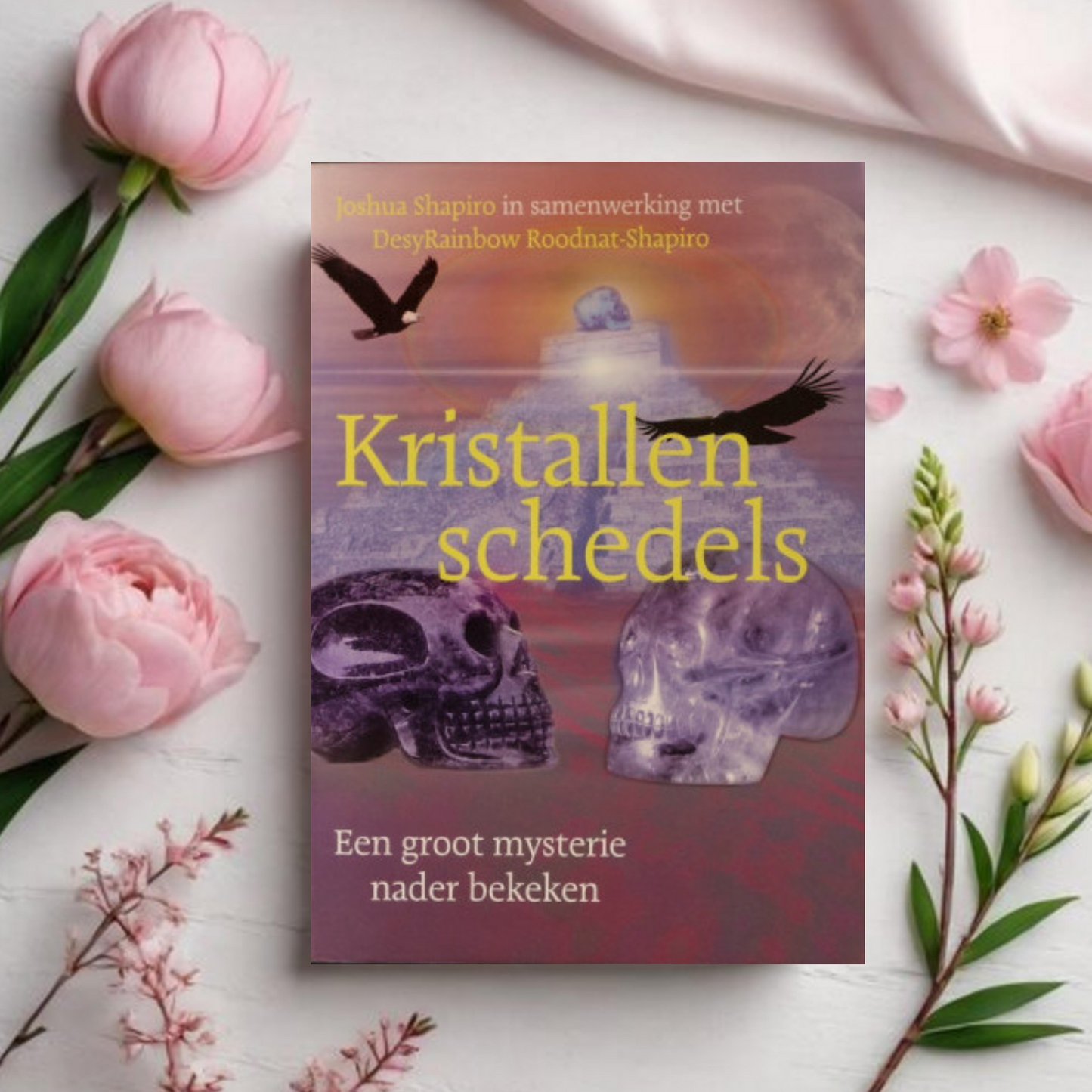 Kristallen Schedels - Joshua Shapiro i.s.m. DesyRainbow Roodnat-Shapiro