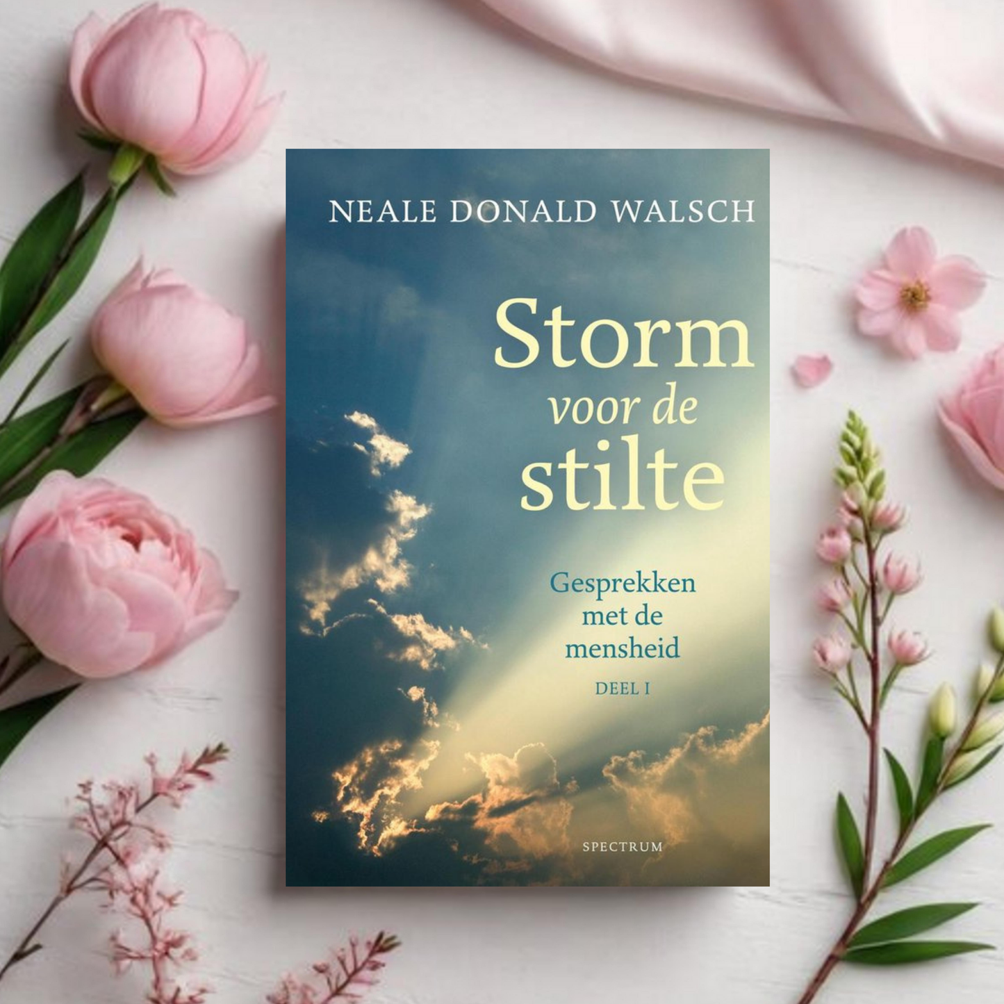 Storm voor de Stilte - Neale Donald Walsch