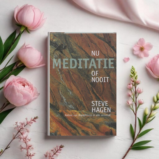 Meditatie Nu of Nooit - Steve Hagen