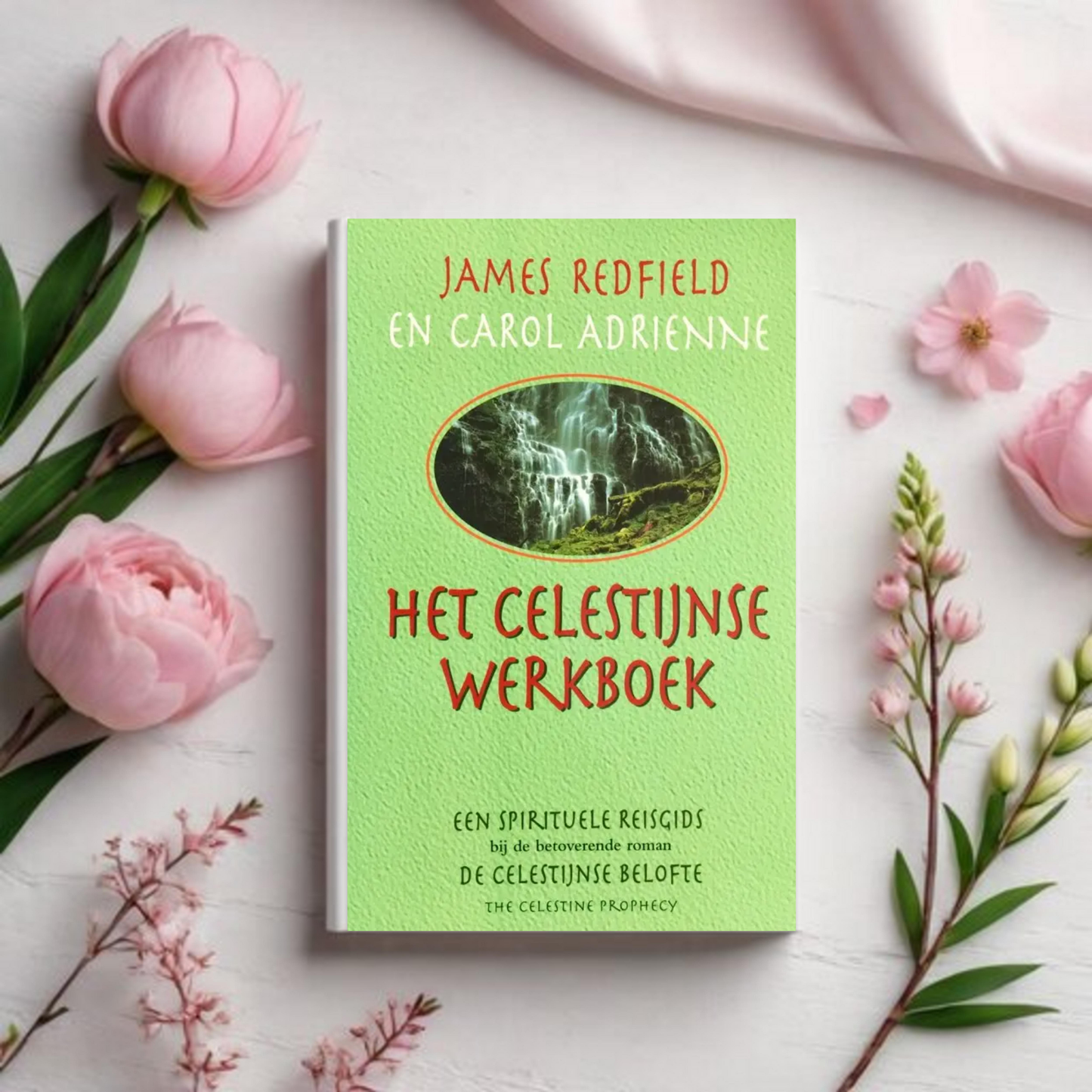 Het Celestijnse Werkboek - James Redfield en Carol Adrienne